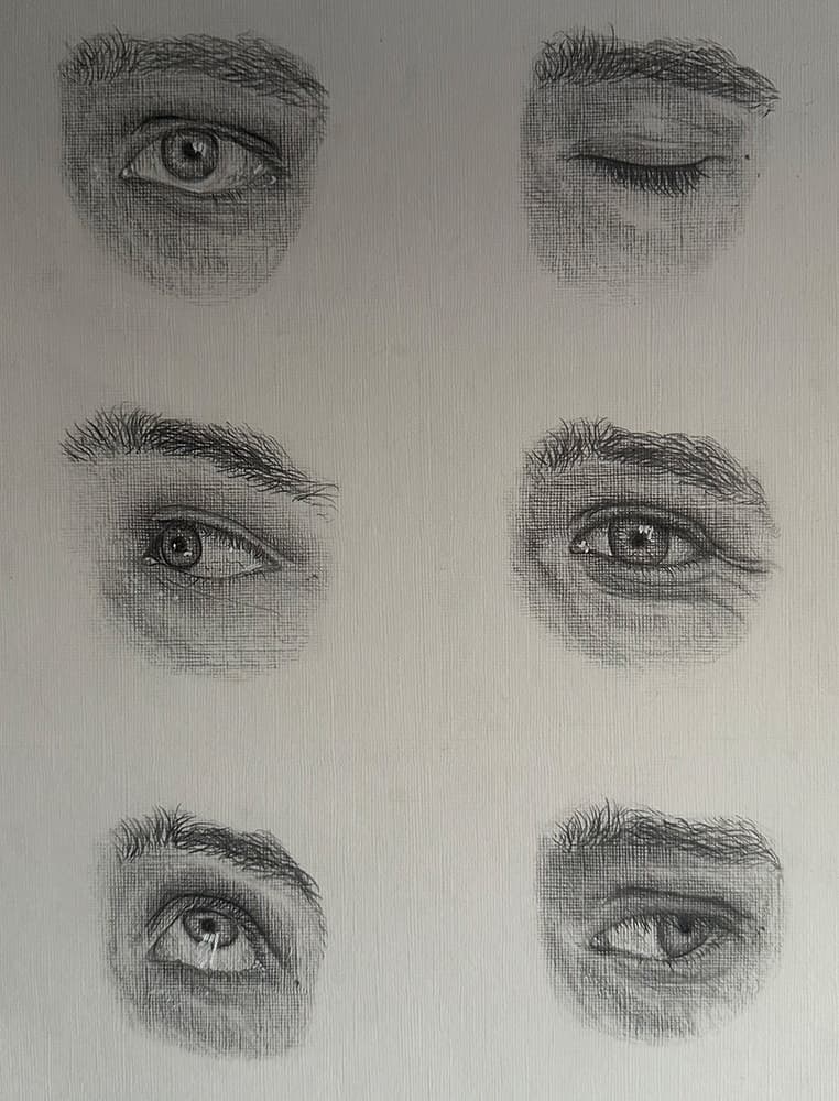 Six eye portraits, each displaying an emotion.