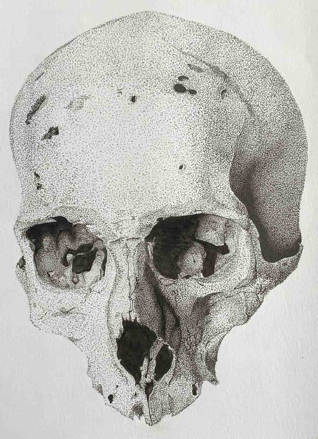 Black and white skull created from thousands of tiny dots.